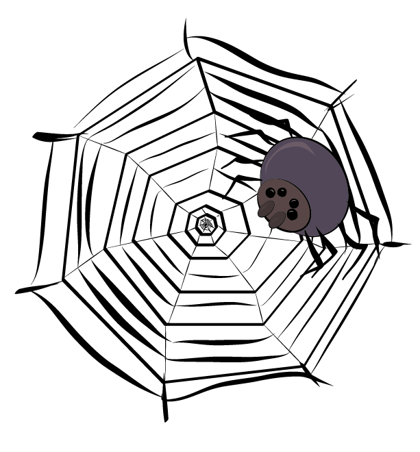 spider in a cobweb